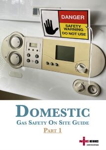 NICEIC Domestic On-Site Guide Part 1 & 2 Version 10